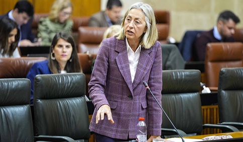 Salud establece nuevos niveles de riesgo para el control del virus del Nilo occidental.