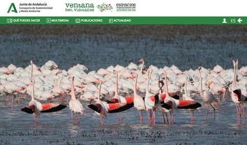 El acceso digital al medio ambiente crece en Andalucía.