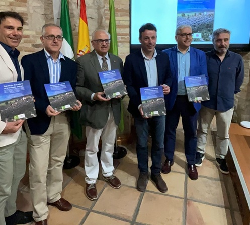 La Diputación publica un estudio sobre la regulación de la oferta en el mercado oleícola.