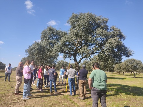 La Junta oferta más de 20.500 horas de formación agraria gratuita durante 2025 a través del Ifapa.