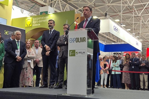 Planas señala como objetivo comercializar 4 millones de toneladas de aceite de oliva antes de 2040.