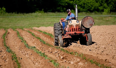 Muere un hombre tras volcar un tractor en una finca de Villacarrillo (Jaén).