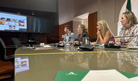 Andalucía lamenta que el Ministerio de Cultura haya reducido casi al 50% las ayudas a las salas de cine.