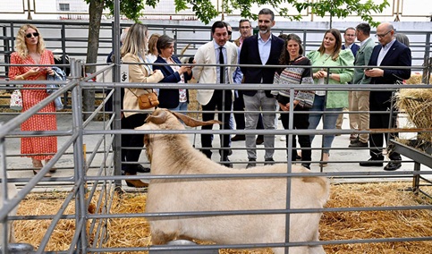 La Junta apuesta en Jaén por un sector ganadero que crezca fuerte al amparo de la nueva PAC.