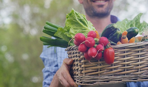 Más del 20% de la superficie de cultivos tropicales de Andalucía está dedicado a la producción ecológica.