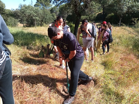 El Ayuntamiento de Andújar avanza en la señalización de sus vías pecuarias en el Parque Natural.