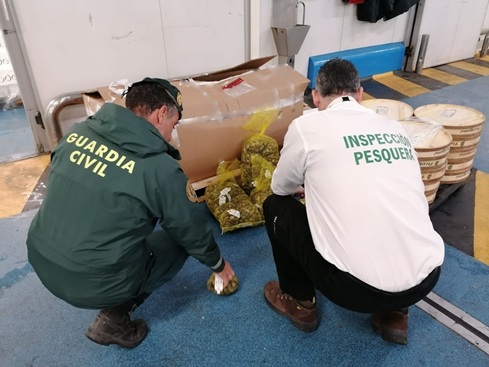 La Guardia Civil ha intervenido 90 kilogramos de pescado y molusco no apto para el consumo.