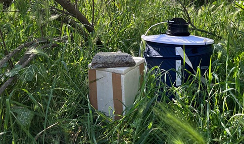 Salud declara las primeras áreas en alerta por presencia de mosquitos con virus del Nilo occidental esta temporada.