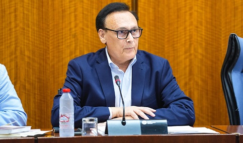 Las universidades públicas andaluzas ofertarán el próximo curso un 2% más de plazas de nuevo ingreso.