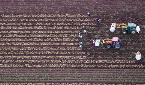 La Junta recibe más de 209.500 Solicitudes Únicas de ayudas de la Política Agraria Común para 2025.