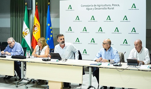 Andalucía reclama al Gobierno de España que «haga todo lo que esté en su mano» para bloquear la nueva PAC.