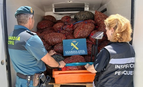 La Guardia Civil interviene 1.500 kilos de almejas no aptos para el consumo.