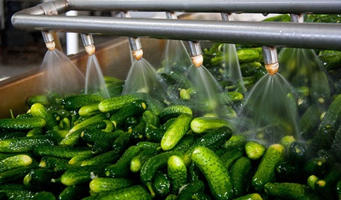 Las exportaciones hortofrutícolas crecen un 11% y superan los 4.555 millones entre enero y mayo de 2025.