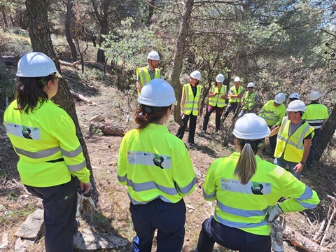 Bioforeste genera cerca de 40 empleos en la realización de labores forestales para aprovechamiento de biomasa.