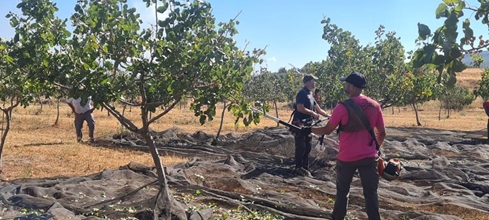 Diputación concede 183 ayudas por valor de 515.000 euros a agricultores y ganaderos de la provincia.