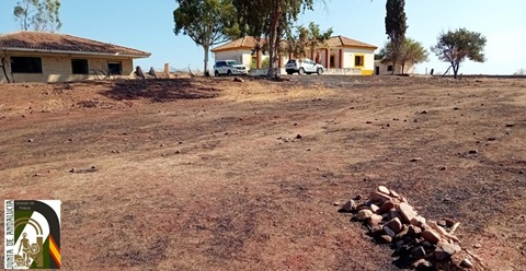La Unidad de Policía Adscrita investiga al responsable de un incendio en Linares.