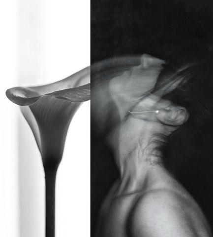 La imagen ‘Delirio’, inspirada en el poema ‘El mundo es como aparece’, gana el IV Concurso de Foto Poética Hernandiana.