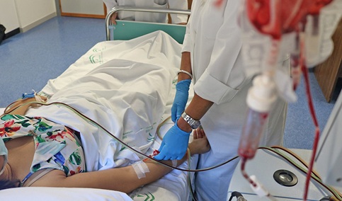 Andalucía sigue liderando la donación de médula ósea con el 23,3% de los donantes de todo el país.