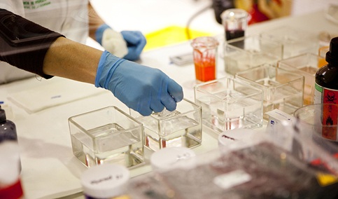 Las universidades públicas andaluzas cuentan con 501 investigadores entre los más influyentes del mundo.