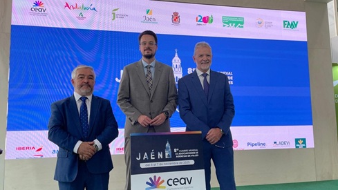 La 8ª Cumbre Mundial de Asociaciones de Agencias de Viajes se celebrará en Jaén con el apoyo de Diputación.