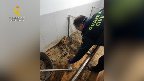 La Guardia Civil halla 250 cadáveres de animales en un criadero clandestino en A Coruña.