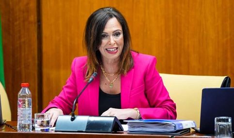 Licitadas por 40,8 millones de euros las obras de la autovía del Olivar entre Martos y arroyo Salado.