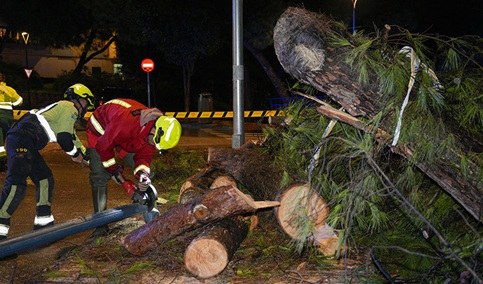 El temporal deja ya 339 incidencias en Andalucía en su mayoría en la provincia malagueña 304.