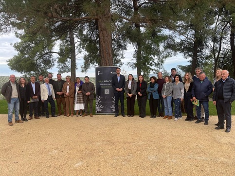 Seis aceites de oliva virgen extra convencionales y dos ecológicos englobarán el distintivo Jaén Selección 2026.