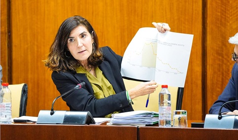 Los programas del SAE han llegado a casi 490.000 beneficiarios durante esta legislatura.