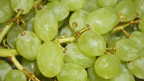 Uvas blancas (38%), lechugas iceberg (9%) y patatas (7%), los alimentos básicos que más se han encarecido en diciembre.