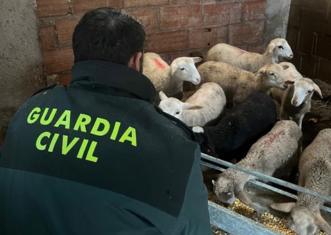 La Guardia Civil detiene al presunto autor de robos en explotaciones ganaderas de la Sierra de Segura.