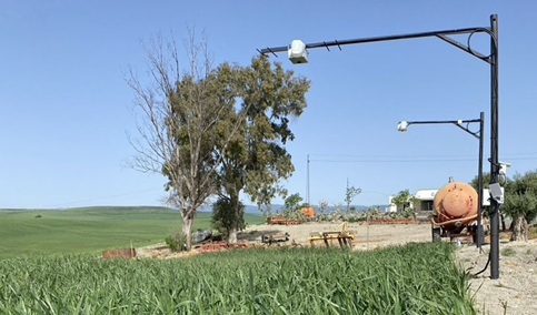 Investigadores andaluces crean una plataforma inteligente que estima el riego diario y ahorra un 32% de agua.