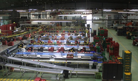 Agricultura impulsa con 88 millones la transformación y comercialización agroalimentaria.