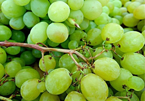 Uvas blancas (8,5%), champiñones laminados (5,0%) y manzanas golden (4,3%), los alimentos básicos que más se han encarecido en enero.