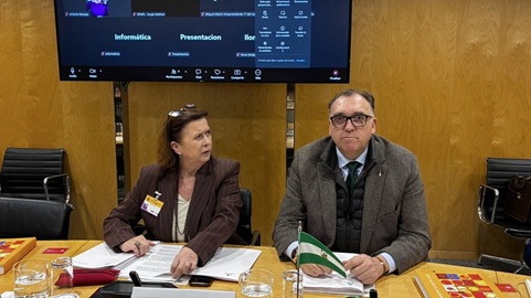 Andalucía pide al Gobierno la incorporación del sector turístico en la declaración de zona catastrófica por el impacto de las borrascas.