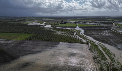 El Gobierno andaluz aborda con el sector las ayudas para el campo tras el tren de borrascas.