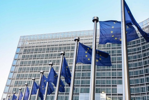 Una veintena de alcaldes y alcaldesas acuden a Bruselas a una doble jornada de trabajo.