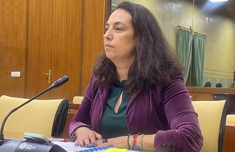 El PSOE acusa a la Junta de ser “un obstáculo” para que las personas con discapacidad accedan a sus derechos.