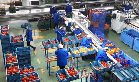 La Junta completa la ejecución del Programa de Desarrollo Rural con una inversión de 3.347 millones y una ejecución superior al 100%.