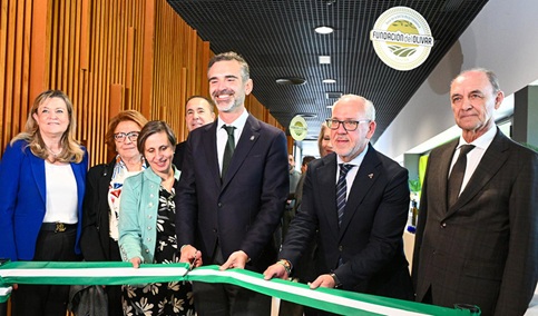 El 60% de las medidas de la I Estrategia Andaluza para el sector del olivar se está desarrollando.