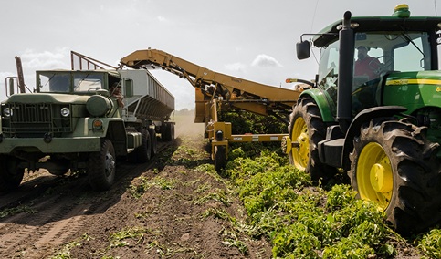 Nuevas medidas para apoyar a los productores agrarios afectados por el tren de borrascas.