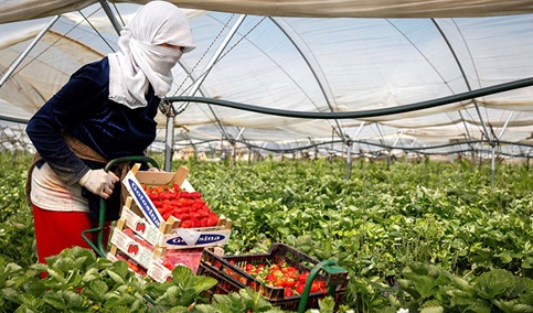 Ayudas de tres millones para la integración laboral de personas en riesgo o situación de exclusión social.