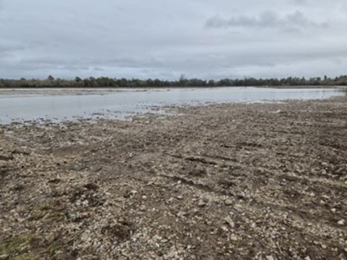 El Ministerio de Agricultura, Pesca y Alimentación publica un primer listado de 876 beneficiarios de las ayudas por daños de las borrascas no indemnizados por el seguro agrario.