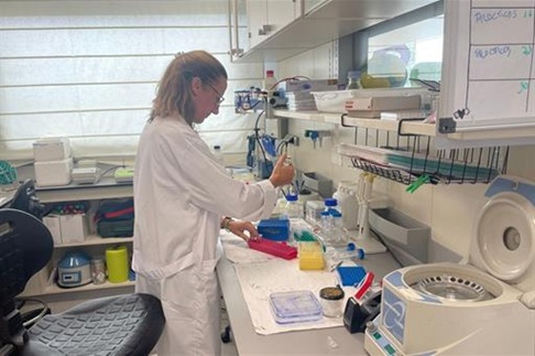 El mercado laboral supera en marzo la barrera de los 22 millones de afiliados a la Seguridad Social en términos desestacionalizados.