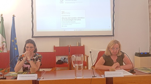 María Benlloch asegura que el cambio climático por el calentamiento global debido al aumento de las temperaturas medias en más de 4 grados centígrados tiene impacto muy negativo en la fenología del olivo.