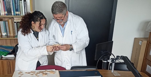 Un nuevo estudio antropológico y poblacional desentraña los secretos de las necrópolis islámicas de Marroquíes Bajos.