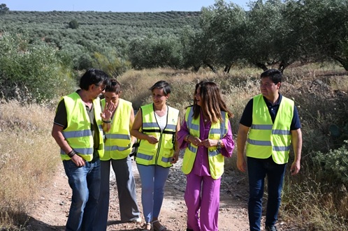 La Junta inicia obras de emergencia para la reparación de cuatro caminos rurales de Linares.