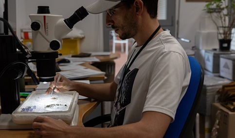 Andalucía despliega 400 agentes de Salud Pública por toda la comunidad para el control del virus del Nilo.