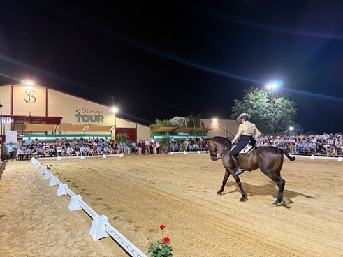 Latorre destaca el impacto económico y turístico generado por el VI Salón del Caballo de Arjona.