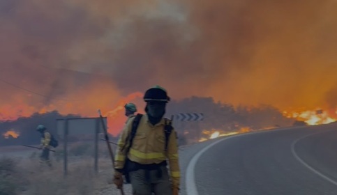 Se elevan a once las personas fallecidas en el incendio de Los Gallardos en Almería.